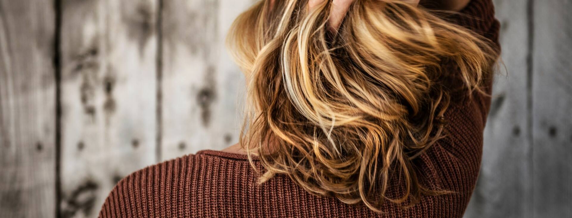 Back of a woman's hair