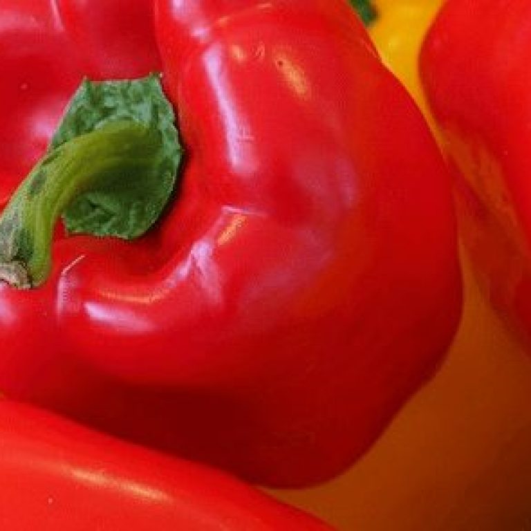 red and yellow peppers