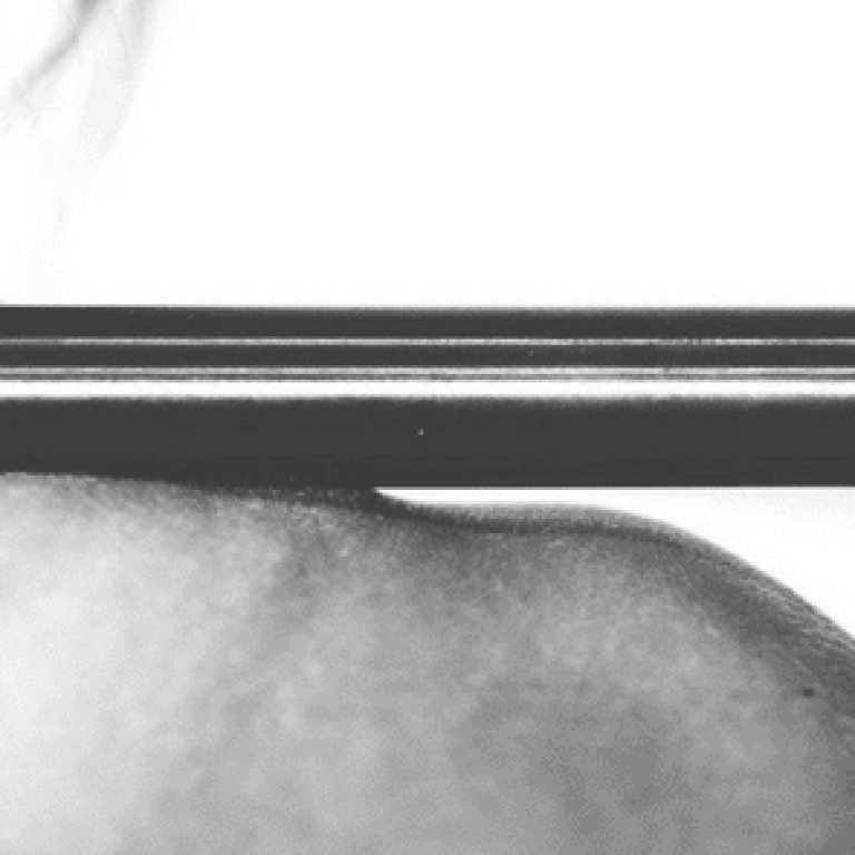 Woman lifting weight bar with her shoulders