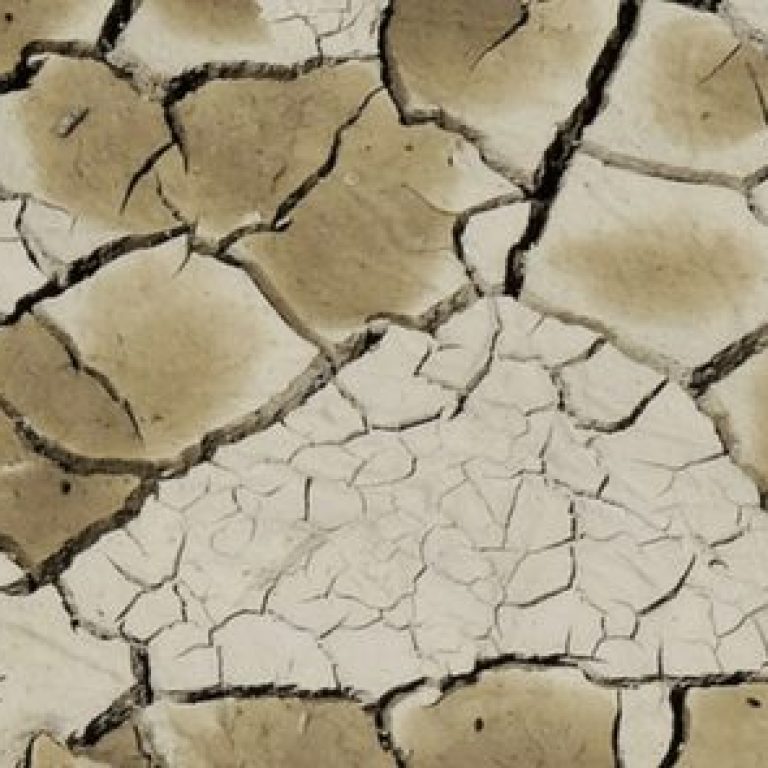 Cracked ground