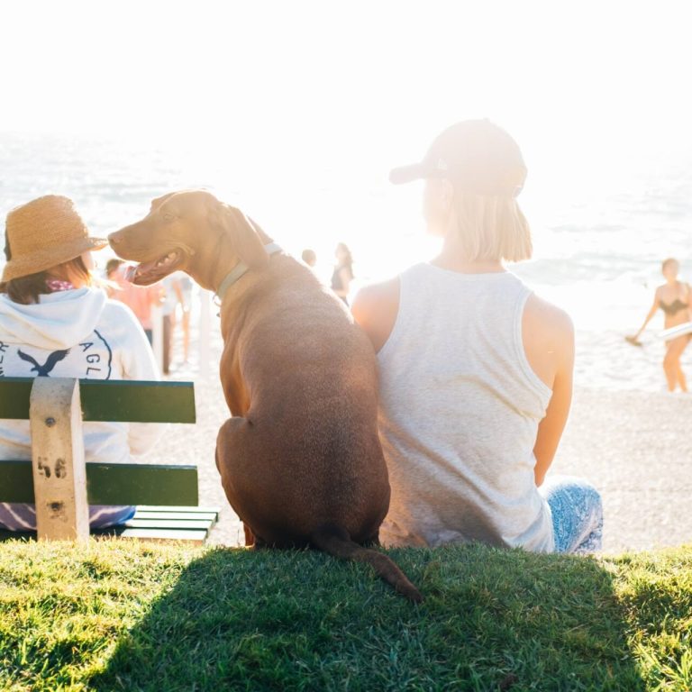 Girl and dog sitting on the beach